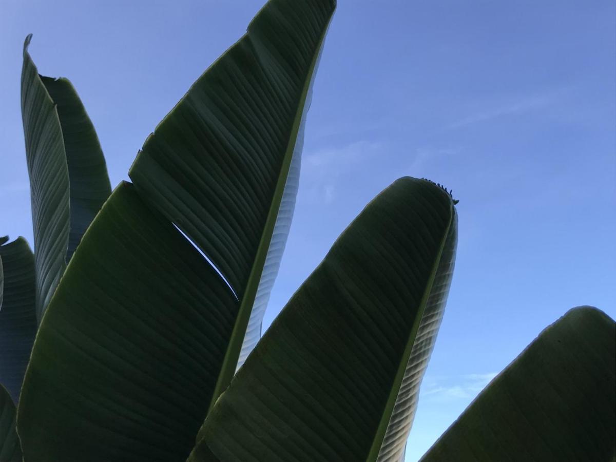 Encanto Das Flores Praia de Pipa Esterno foto
